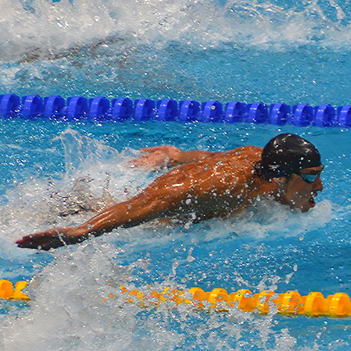 Butterfly Swimmer