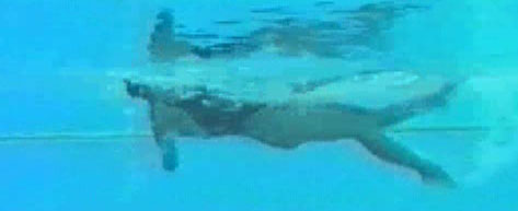 Backstroke 3